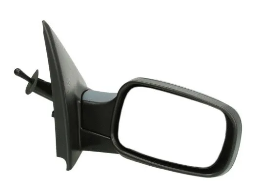 Exterior Mirror (5402-04-1191175P)