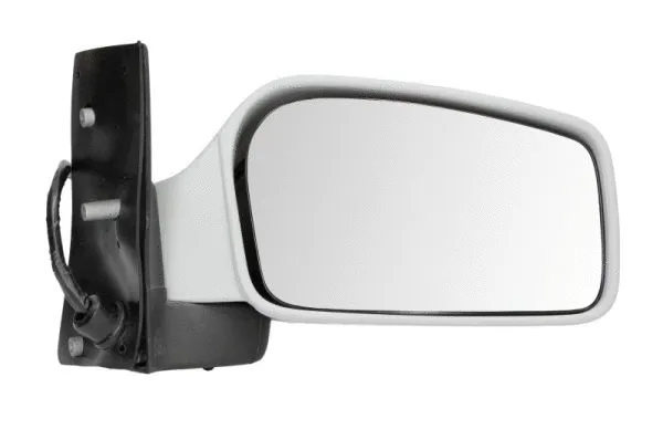 Exterior Mirror (5402-04-1129358)