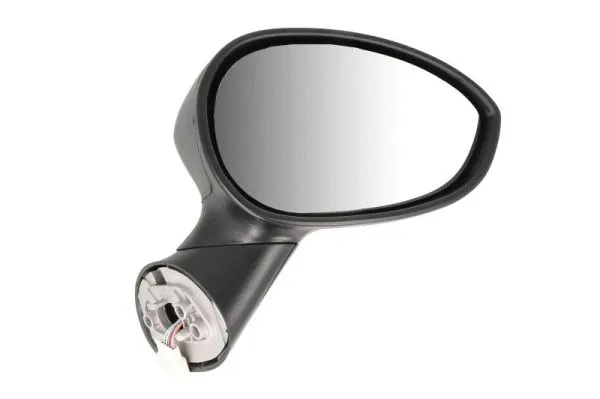 Exterior Mirror (5402-04-1128933)