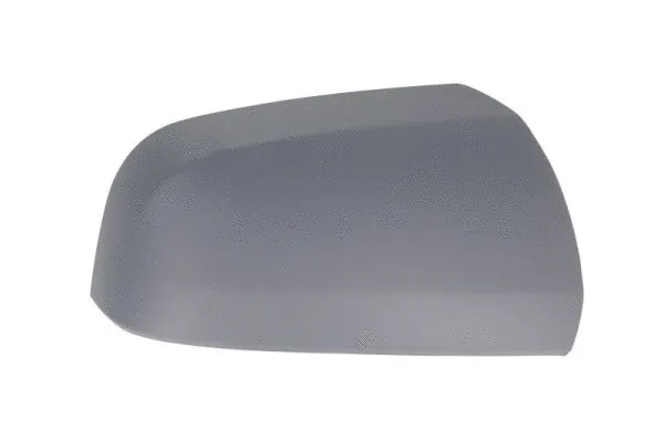 Housing, exterior mirror (6103-04-2002048P)