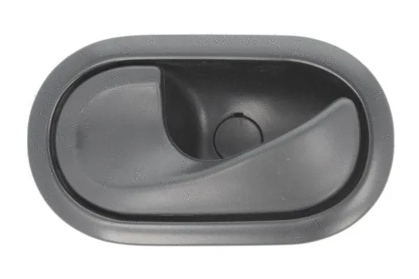 Exterior Door Handle (6010-09-049409P)