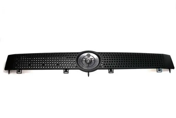 Radiator Grille (6502-07-2008990P)