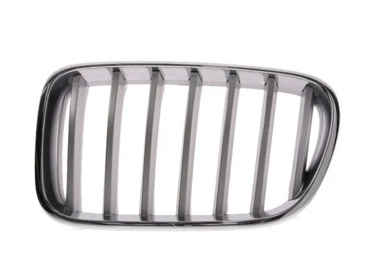 Radiator Grille (6502-07-0093997P)