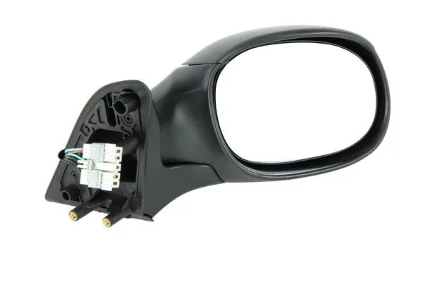 Exterior Mirror (5402-04-1131312)