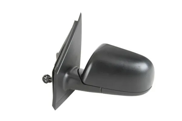 Exterior Mirror (5402-04-1112119P)