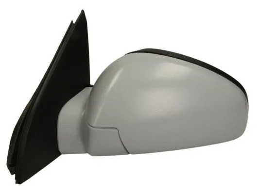 Exterior Mirror (5402-04-1129226P)