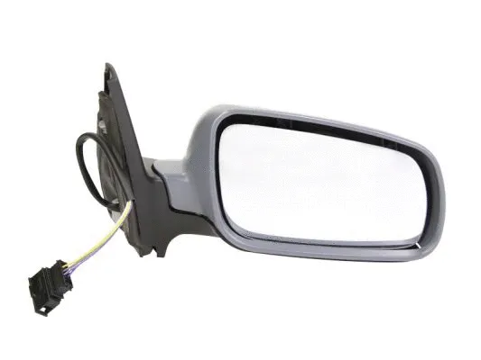 Exterior Mirror (5402-04-1121124P)