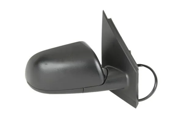 Exterior Mirror (5402-04-1121119P)