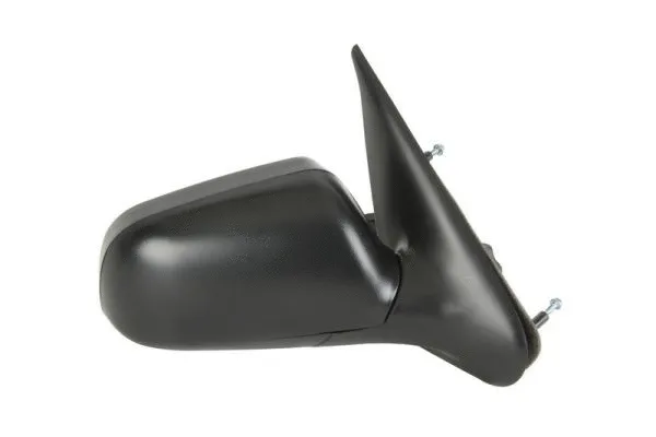 Exterior Mirror (5402-04-1129310)
