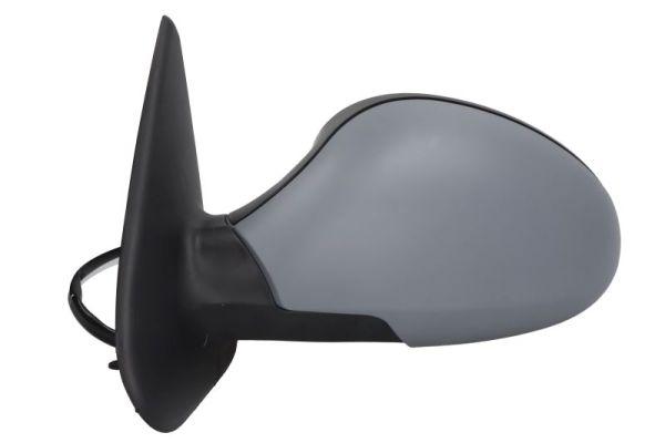 Exterior Mirror