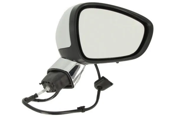 Exterior Mirror (5402-21-039332P)