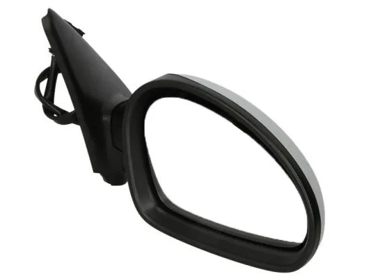 Exterior Mirror (5402-04-1129997P)
