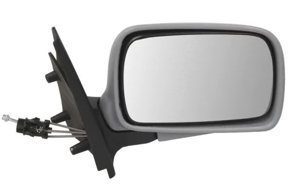 Exterior Mirror (5402-04-1115198P)