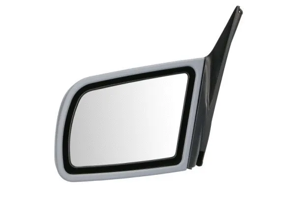 Exterior Mirror (5402-04-1125237P)