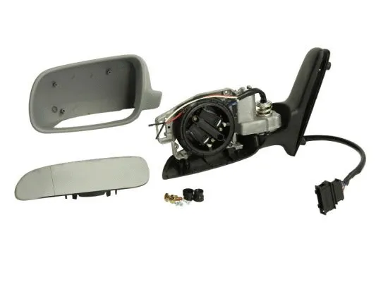 Exterior Mirror (5402-04-1139132)