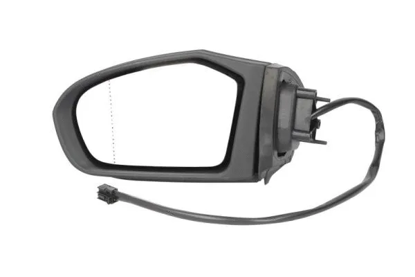 Exterior Mirror (5402-04-1125557P)