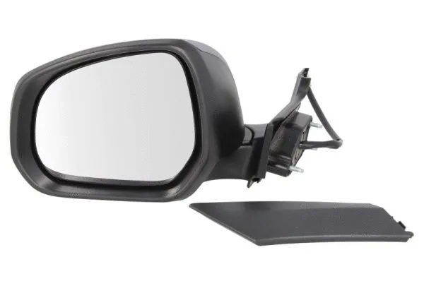Exterior Mirror (5402-04-2001971P)