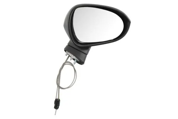 Exterior Mirror (5402-10-2002284P)