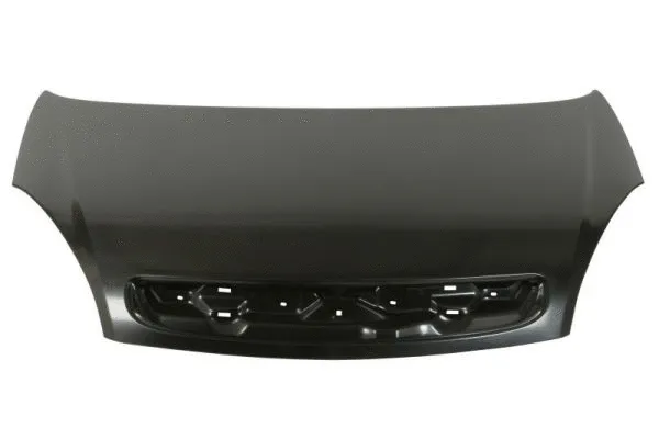 Bonnet (6803-00-0536280P)