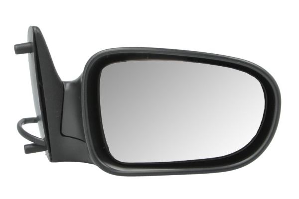 Exterior Mirror (5402-04-1121129P)