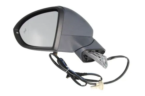Exterior Mirror (5402-01-2002615P)