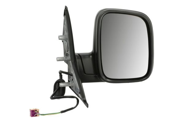 Exterior Mirror (5402-04-9221985)