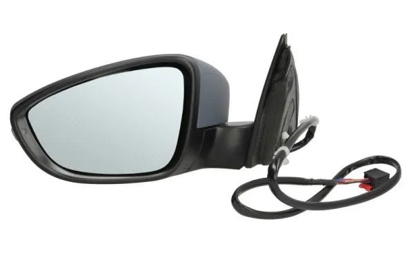 Exterior Mirror (5402-01-2002669P)