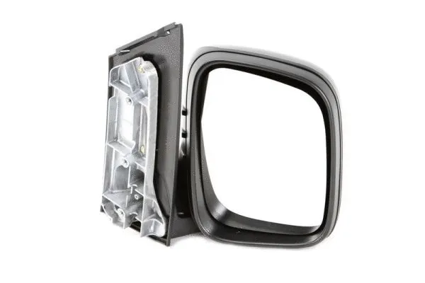 Exterior Mirror (5402-04-9292152)