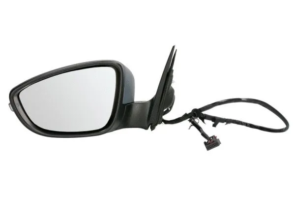 Exterior Mirror (5402-01-2002717P)