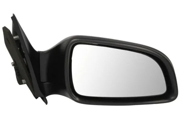 Exterior Mirror (5402-04-1121244P)