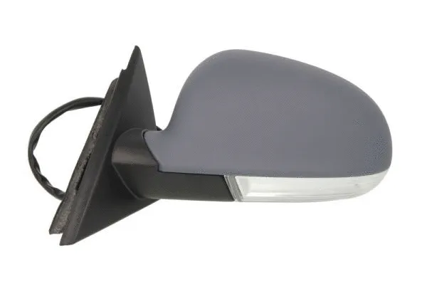 Exterior Mirror (5402-04-1129571P)