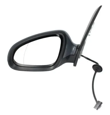 Exterior Mirror (5402-04-1121595P)
