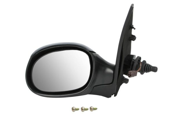 Exterior Mirror (5402-08-2002907P)