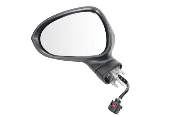 Exterior Mirror (5402-10-2002295P)