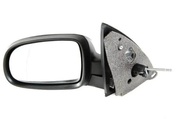 Exterior Mirror (5402-04-1112226P)