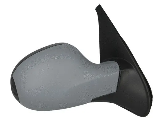 Exterior Mirror