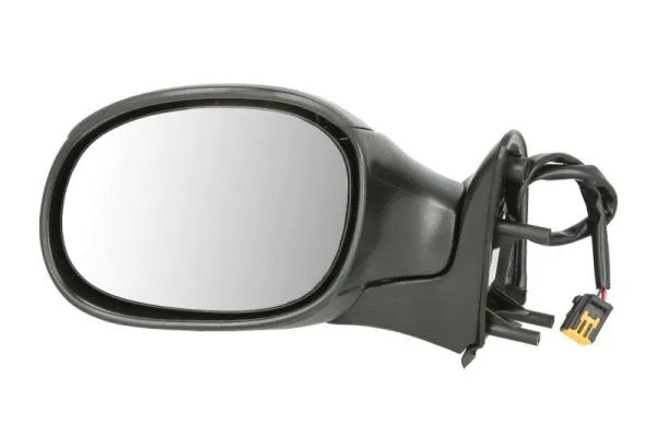 Exterior Mirror (5402-04-1191339)