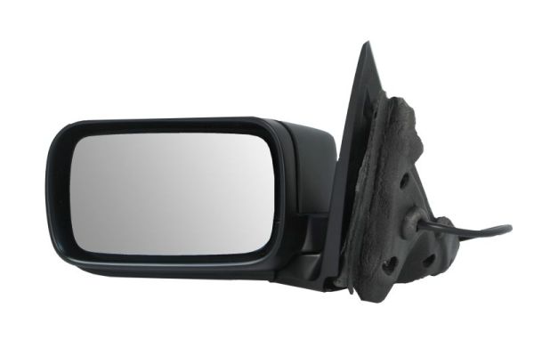 Exterior Mirror (5402-04-1171829)