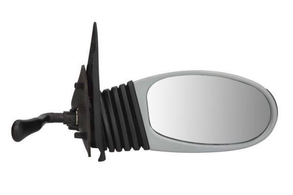 Exterior Mirror (5402-04-1115911P)