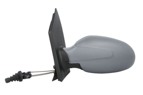 Exterior Mirror