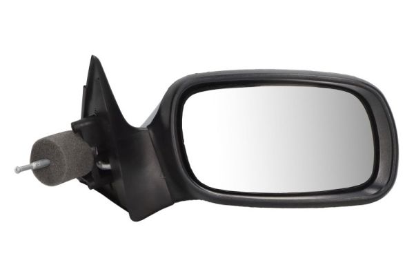 Exterior Mirror (5402-04-1138231P)