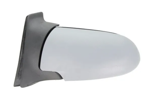 Exterior Mirror (5402-04-2002039P)