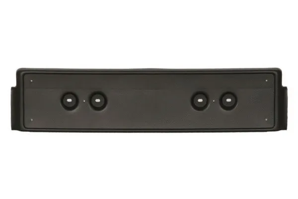 Licence Plate Holder (6509-01-0017920P)