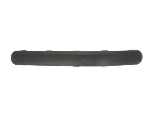 Trim/Protection Strip, bumper (5703-05-2576972P)