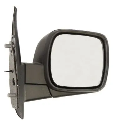 Exterior Mirror (5402-04-1121586P)
