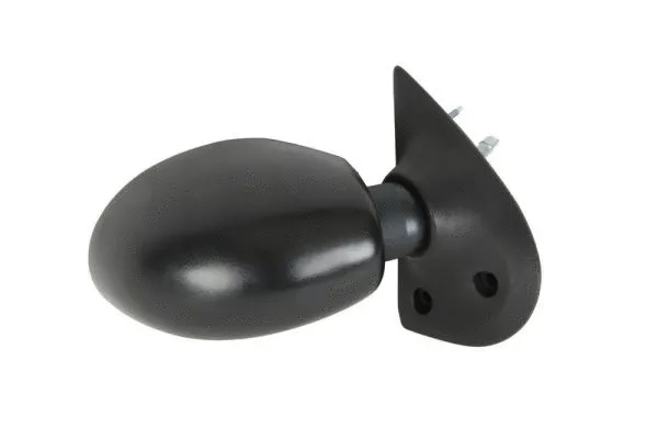 Exterior Mirror (5402-04-1115117P)