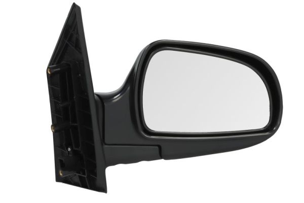 Exterior Mirror (5402-04-9228589)