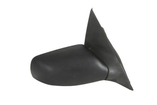 Exterior Mirror (5402-04-1115398P)