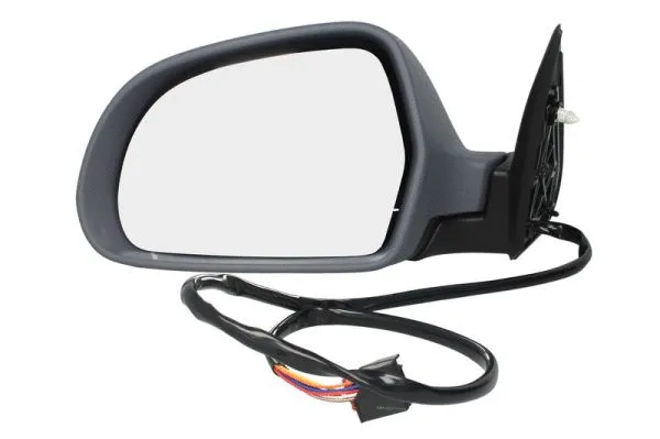 Exterior Mirror (5402-04-1121564P)