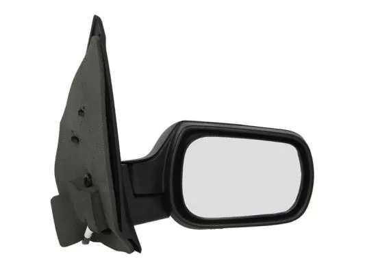 Exterior Mirror (5402-04-1121389P)